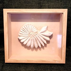 Quadro Nautilus Branco